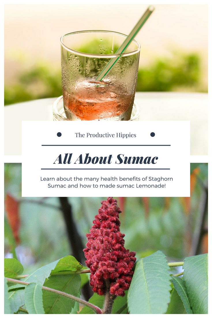All About Sumac